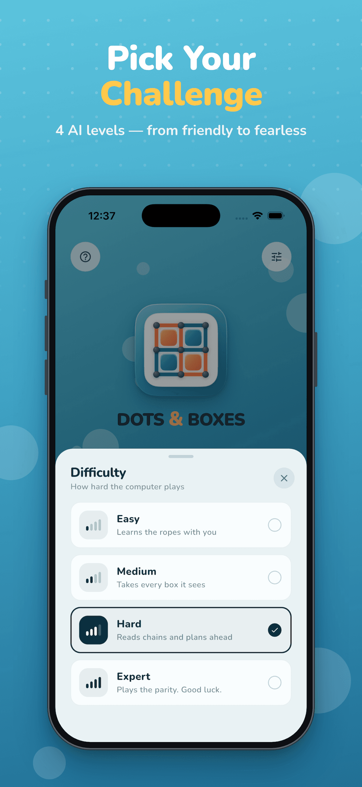 Dots & Boxes Paper Puzzle screenshot 2